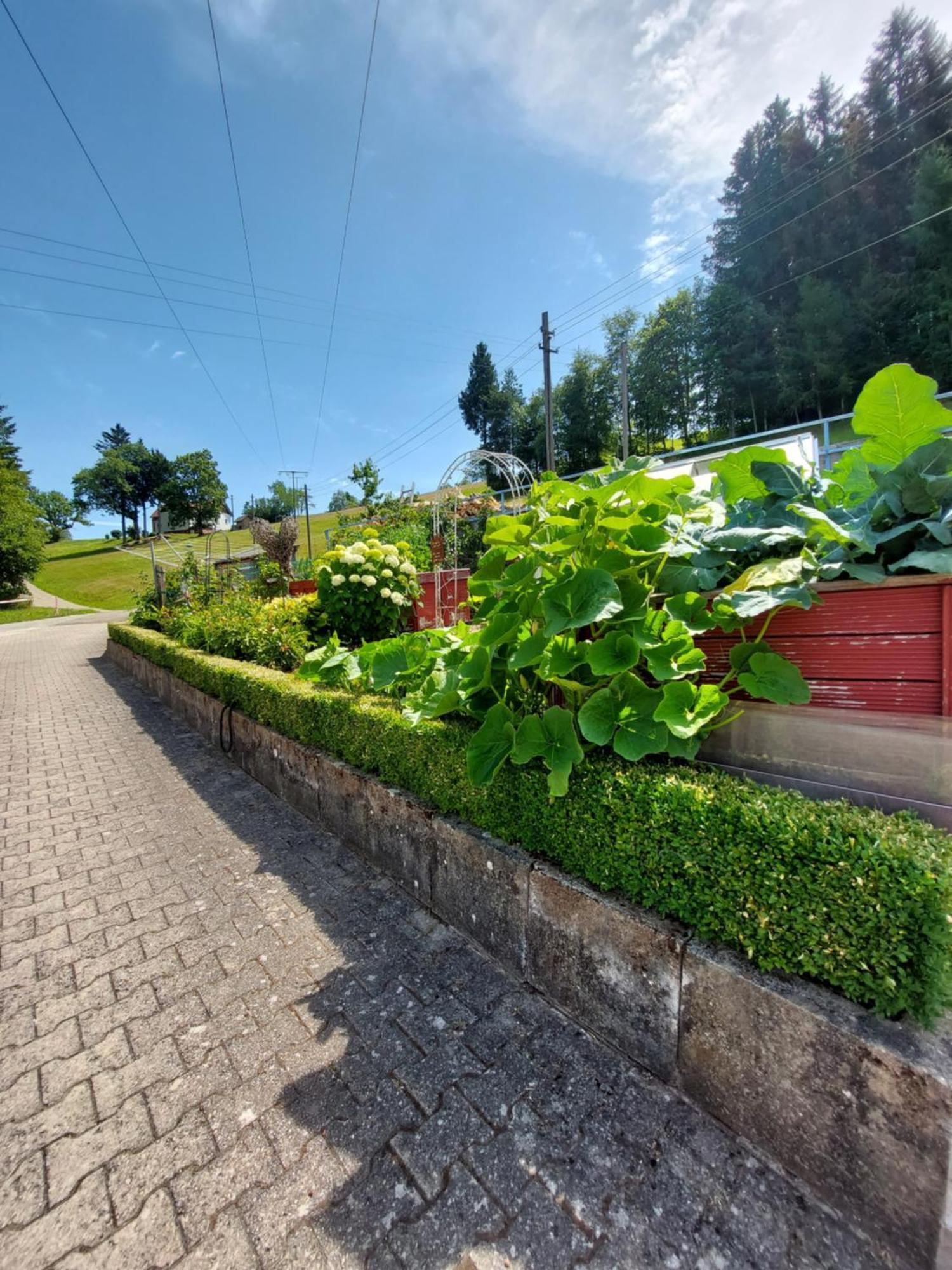 Ferienwohnung Siggi Hardt (Baden-Wurttemberg) Exterior foto